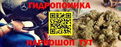 спиды Пугачёв