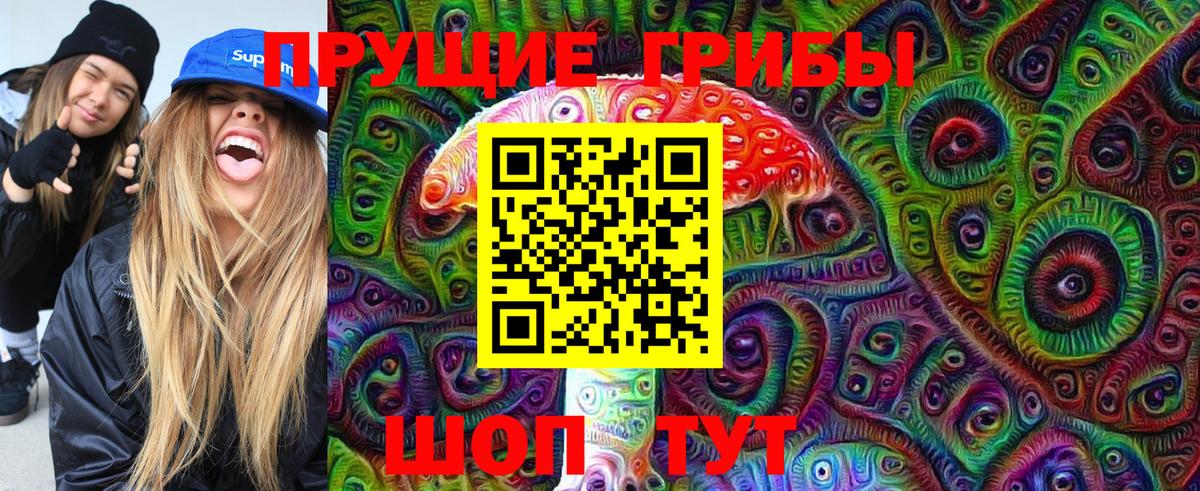 Псилоцибиновые грибы Psilocybine cubensis  Вход с VPN  Самара  купить закладку  Галлюциногенные грибы мицелий 
