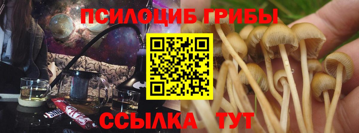 Галлюциногенные грибы мухоморы Самара